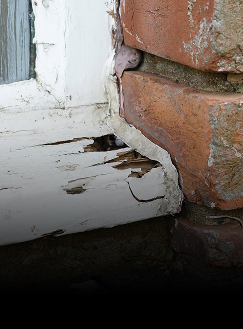 Window frame repair in Fishers, IN