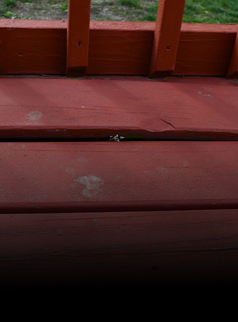 Deck repair services in Fishers, IN