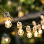 Holiday lights low-cost