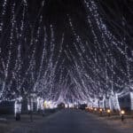 Turn Your Landscaping Into a Holiday Showcase