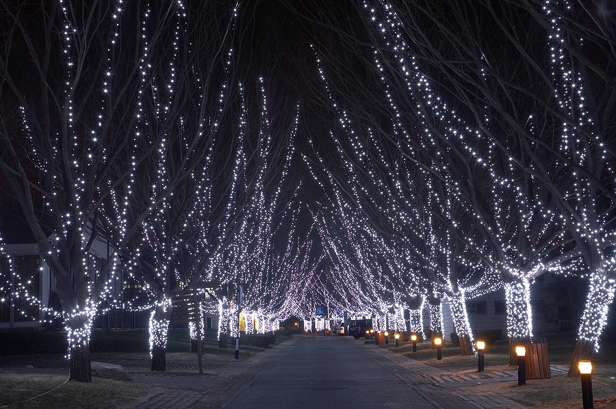 Turn Your Landscaping Into a Holiday Showcase